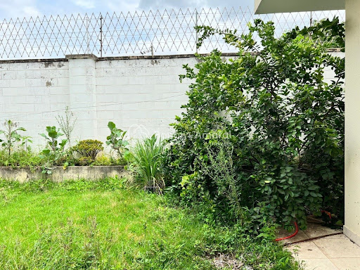 Casa de Condomínio, 3 quartos - Foto 25
