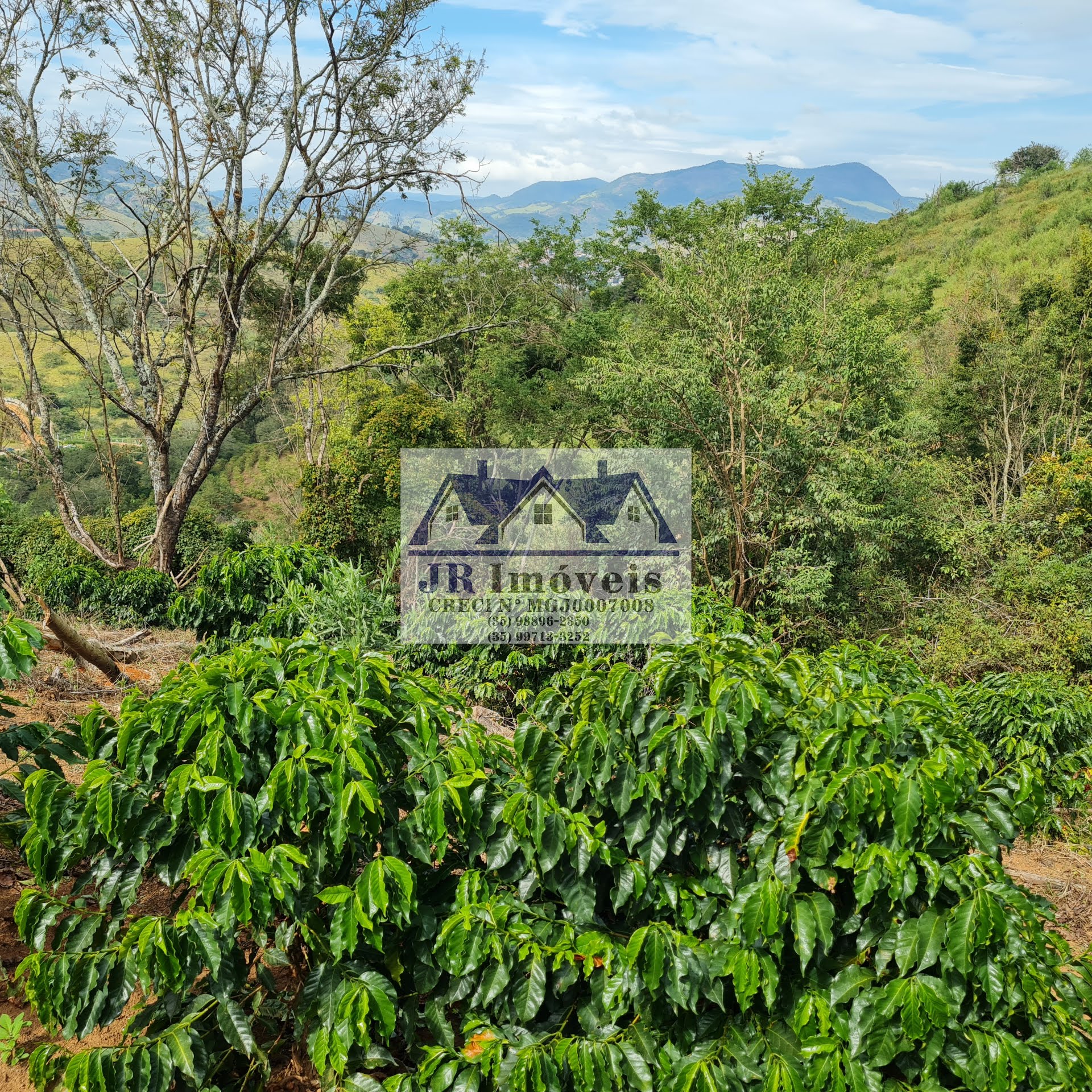 Terreno à venda com 21237m² de terreno no Pinheirinho, Itajubá (MG) — foto 29 de 30