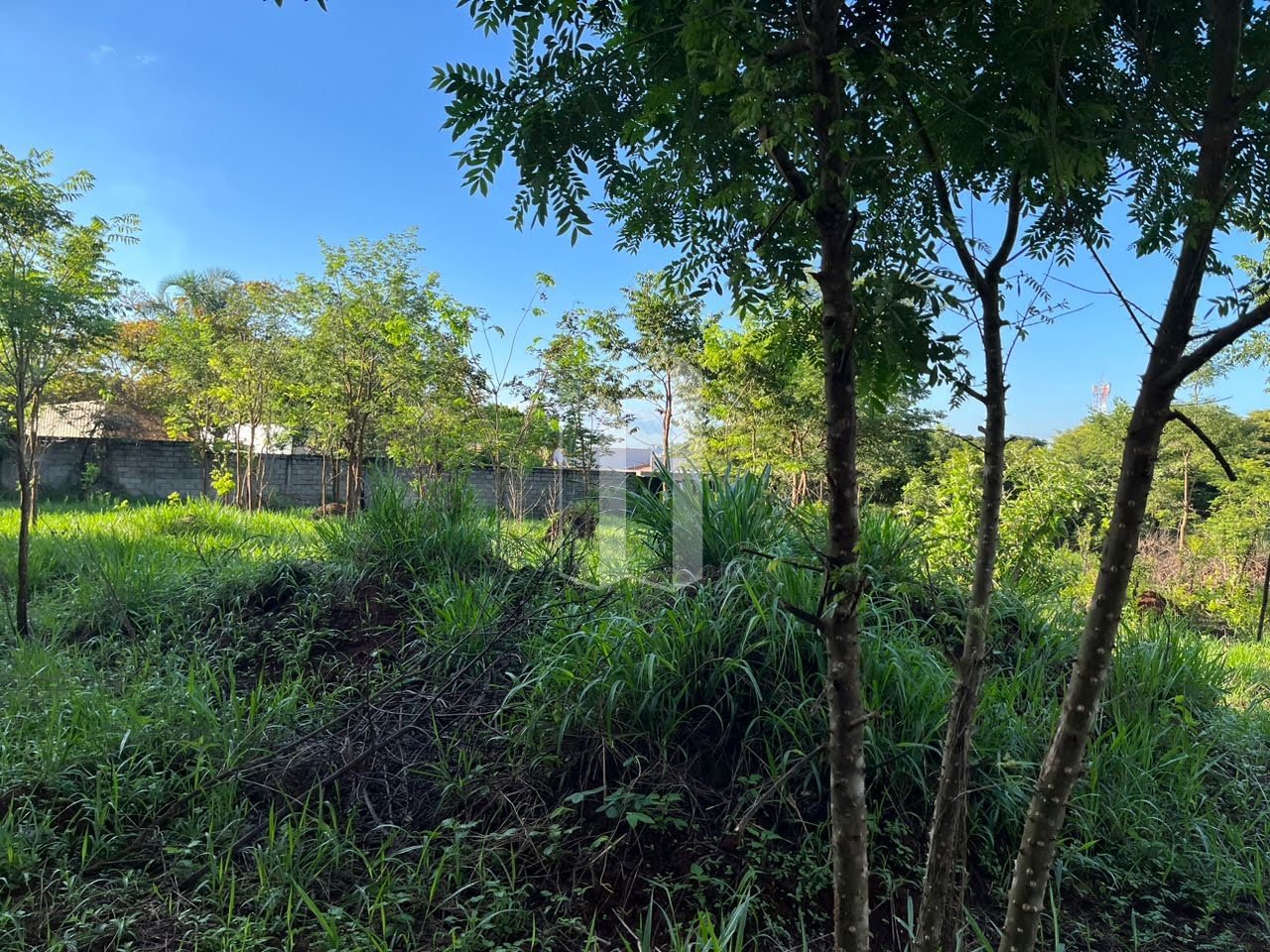 Terreno à venda com 5000m² de terreno no Village Casa Grande, Goiânia (GO) — foto 14 de 19