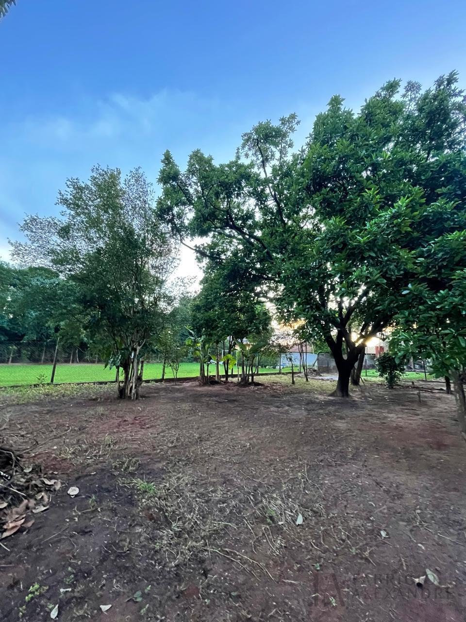 Casa à venda com 7 banheiros e 6 vagas no Talhados, São José do Rio Preto (SP) — foto 26 de 30