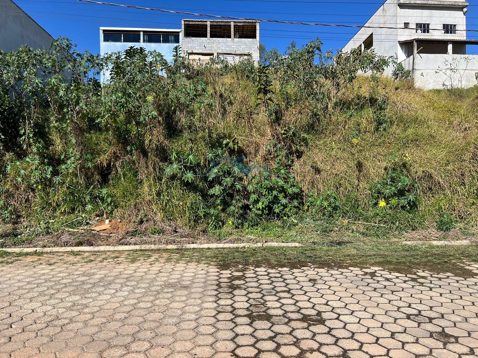 VISTA DA RUA