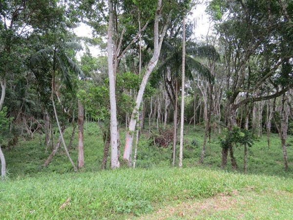Rural à venda com 45000m² de terreno no Vargem Pequena, Florianópolis (SC) — foto 15 de 28