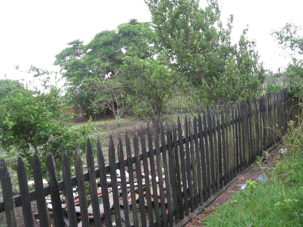 ÁREA EXTERNA DO SÍTIO