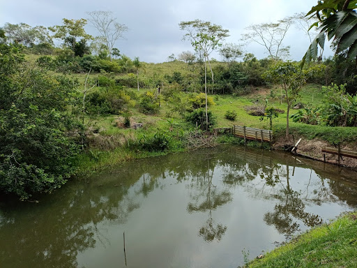 Sítio em Vale Encantado  -  Macaé
