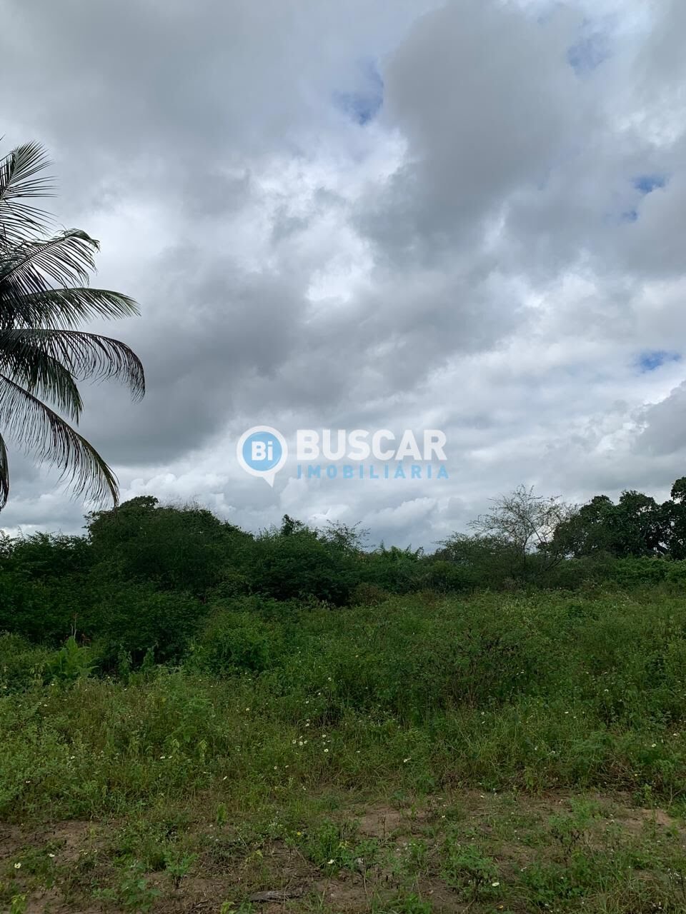 Rural à venda com 13182m² de terreno no Sim, Feira de Santana (BA) — foto 2 de 15