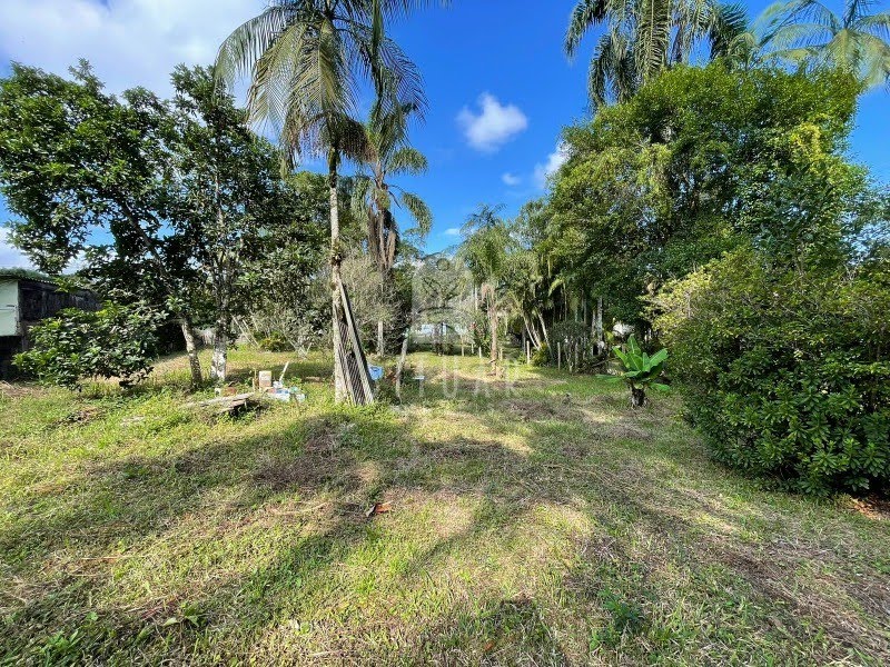 Foto 06