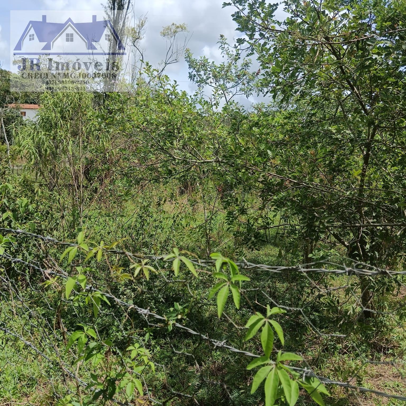 Terreno à venda com 3000m² de terreno no Carneiros, Piranguinho (MG) — foto 14 de 21
