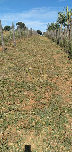 Terreno à Venda em Boa Vista, Pouso Alegre por R$250.000