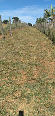 Terreno à Venda em Boa Vista, Pouso Alegre por R$250.000