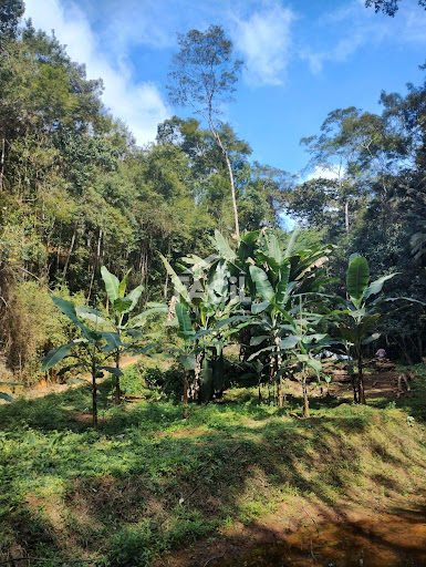 Sítio à Venda em Melgacinho – Domingos Martins/ES por R$ 1.350.000,00