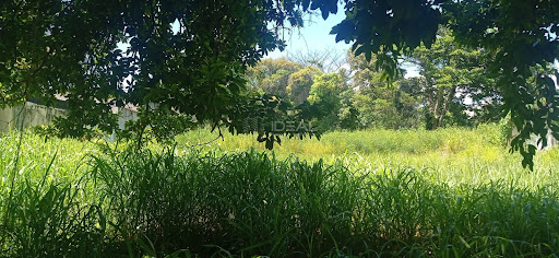vendo ou alugo terreno super bem localizado no centro de Campos em frente à Faculdade de Direito de Campos cód 16249