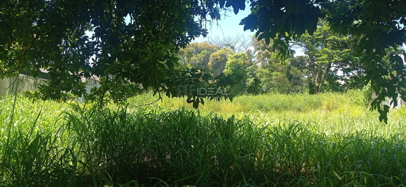 Terreno à venda com 3500m² de terreno no Centro, Campos dos Goytacazes (RJ) — foto 7 de 14