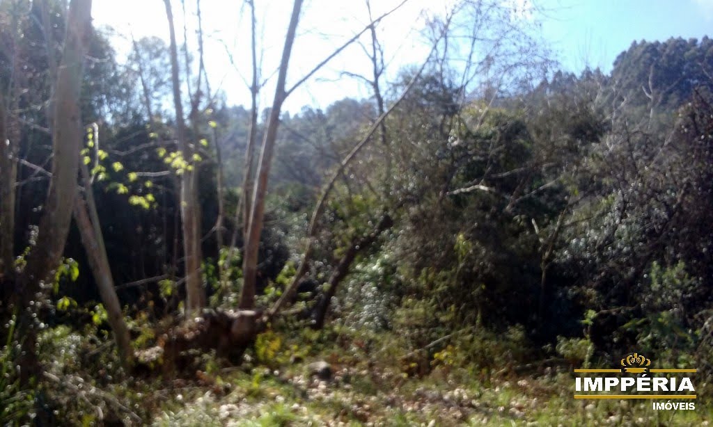 Foto 03