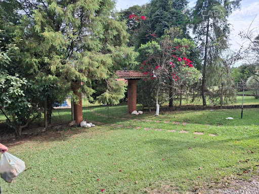 Chácara à venda em São Pedro: 4 quartos e 351,51m²