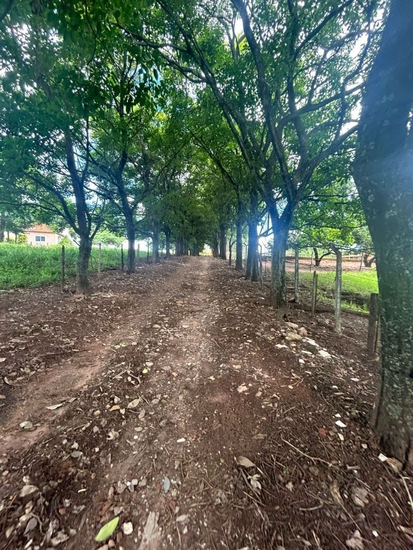 Rural à venda com 20000m² de terreno no Zona Rural, Mirassol (SP) — foto 3 de 27