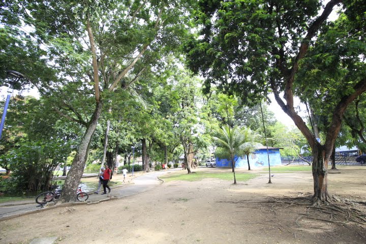 Casa à venda com 4 quartos, 1 suíte, 4 vagas e 208m² no Hipódromo, Recife (PE) — foto 30 de 30