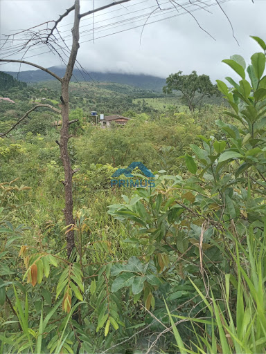 Lote / Terreno em Jardim Serra Azul  -  Mateus Leme