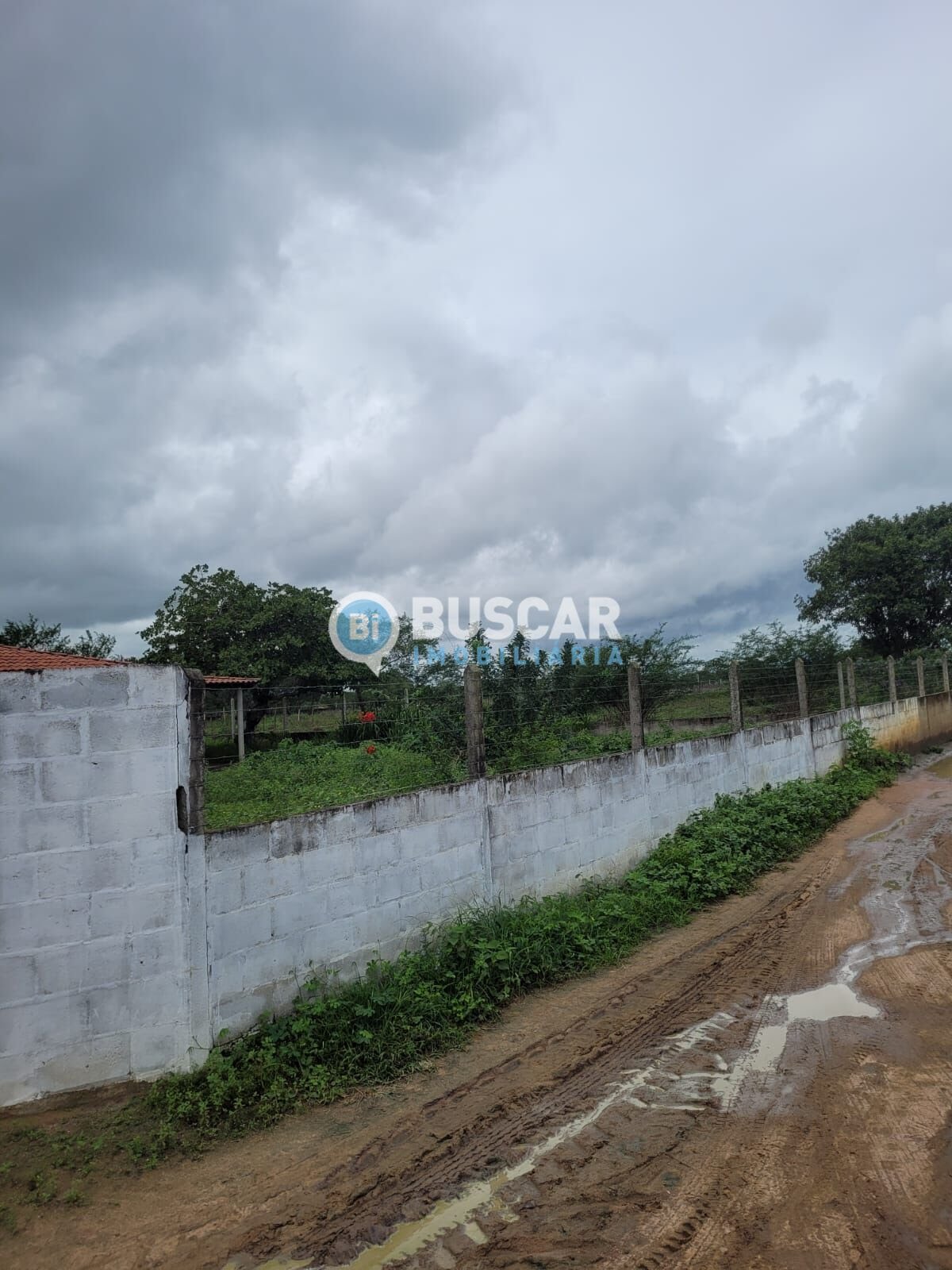 Rural à venda com 8712m² de terreno no Zona Rural, Serrinha (BA) — foto 2 de 5