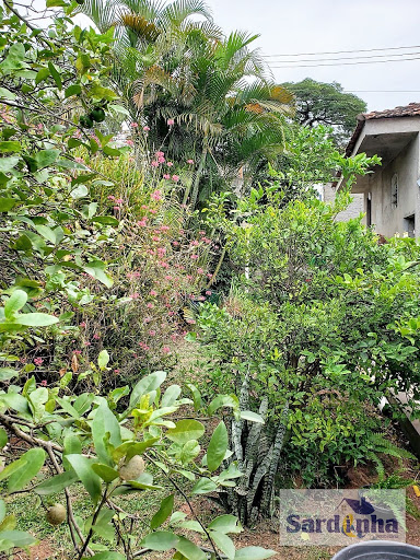 Casa à venda no Jardim Monte Kemel, São Paulo | 2 dorms