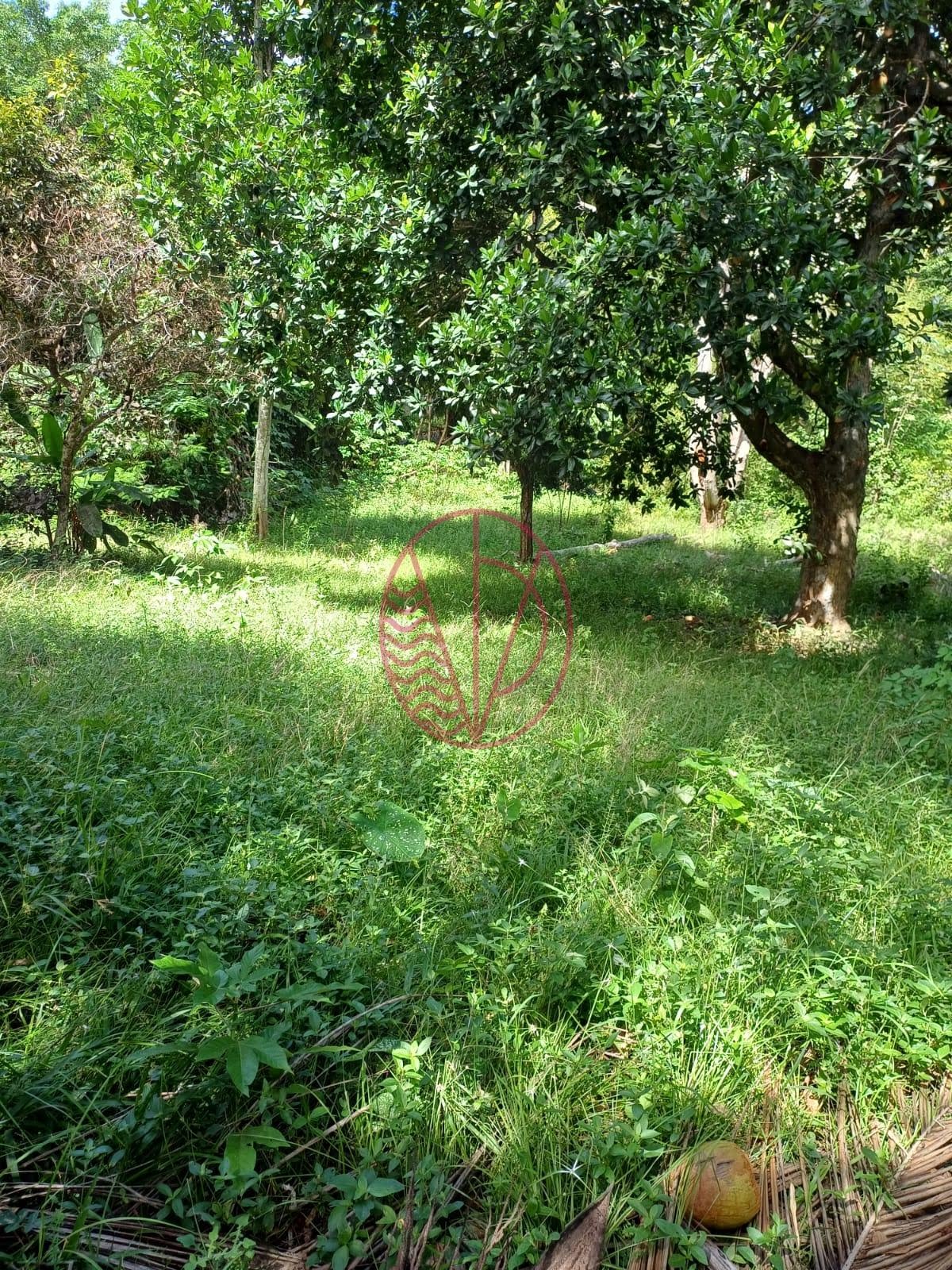 Casa à venda com 3 quartos, 1 suíte, 4 vagas e 124m² no Malícia (abrantes), Camaçari (BA) — foto 20 de 29