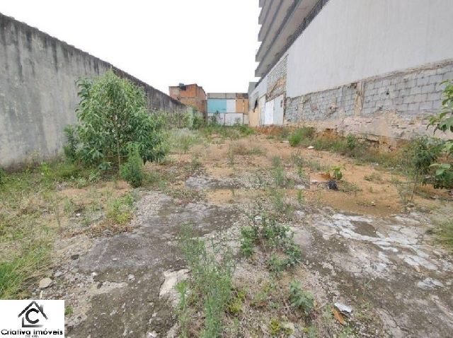 Foto 03