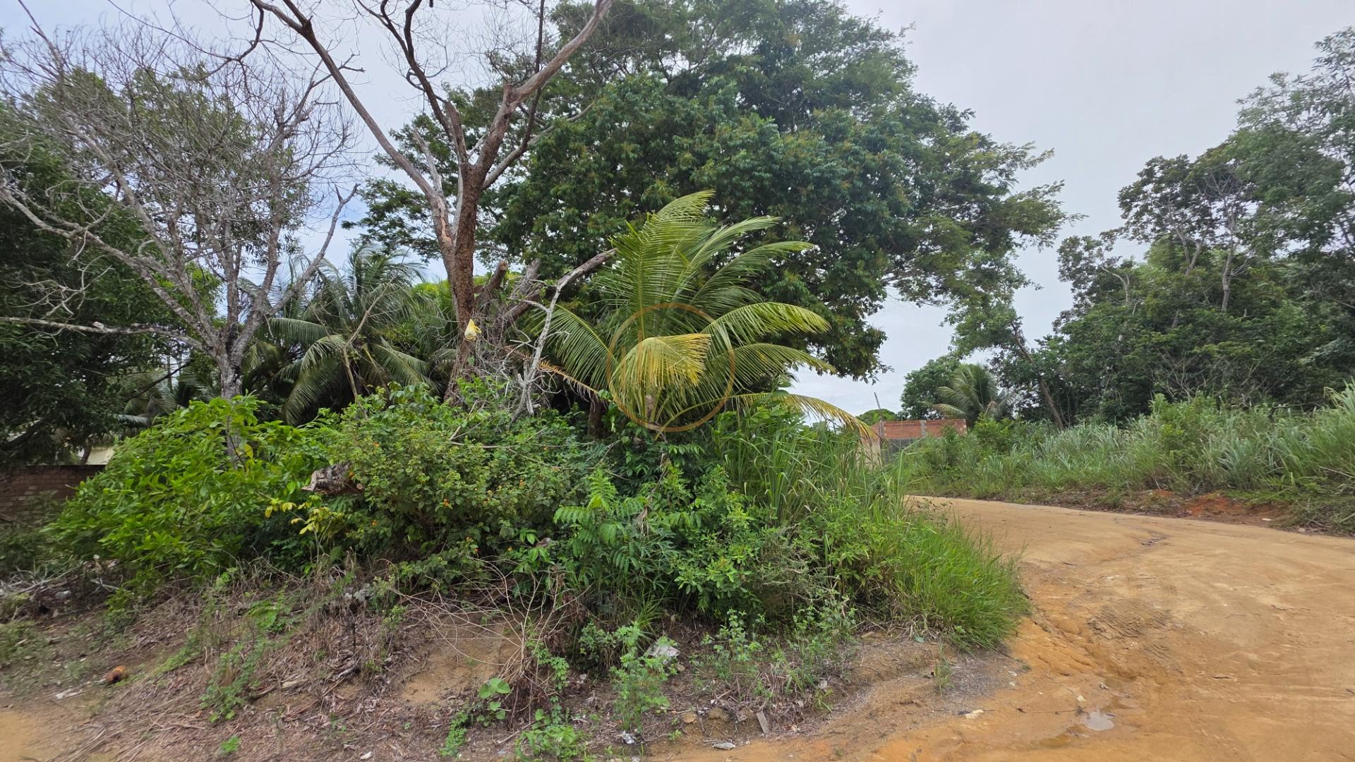 Terreno à venda com 1100m² de terreno no Nova Cabrália, Santa Cruz Cabrália (BA) — foto 6 de 10
