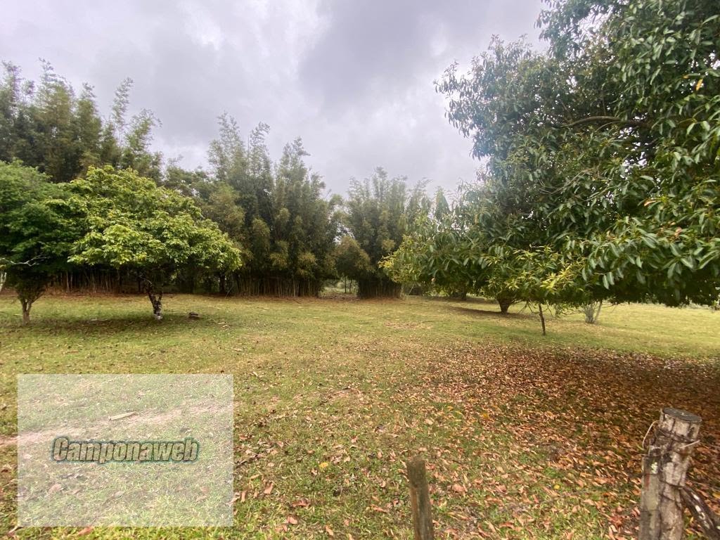 Campo a Venda