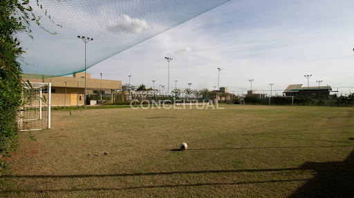 Mini Campo