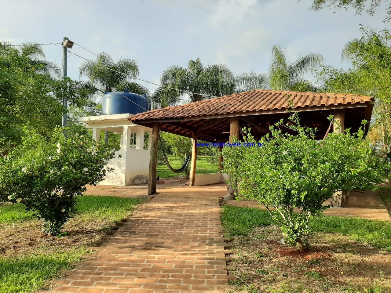 Foto 01