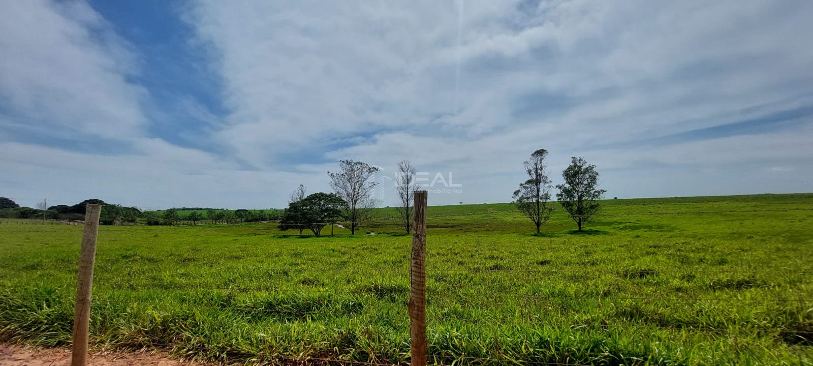 Terreno à venda com 1750000m² de terreno no Nova Travessão, Campos dos Goytacazes (RJ) — foto 19 de 30