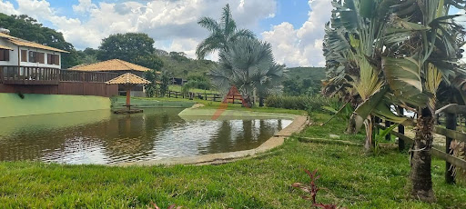 Fazenda em Oliveira  -  Oliveira
