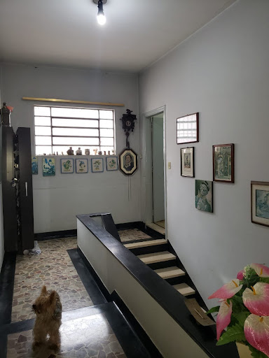 Foto 08
