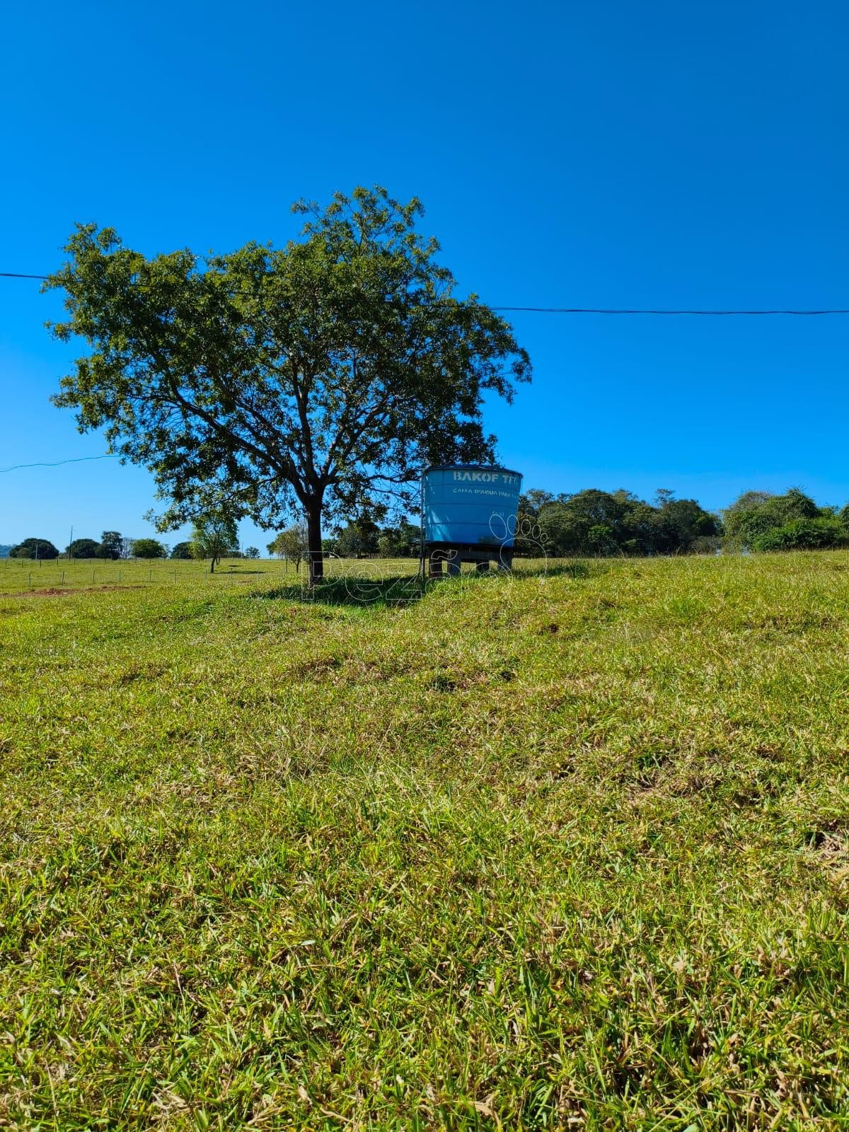 Chácara - Foto 1