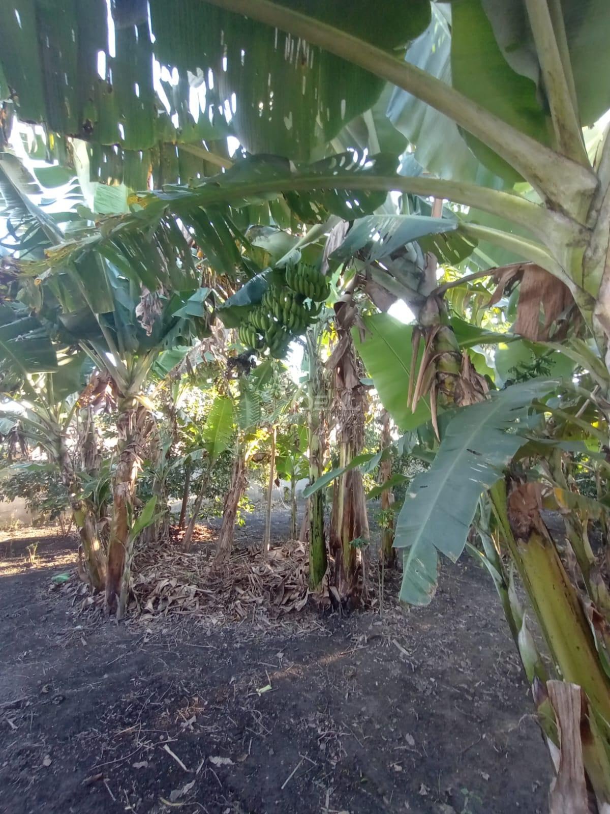 Casa à venda com 3 quartos, 2 banheiros, 4 vagas e 150m² no Tocos, Campos dos Goytacazes (RJ) — foto 11 de 30