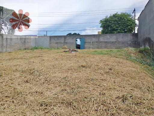 Lote / Terreno em Limoeiro  -  São Paulo