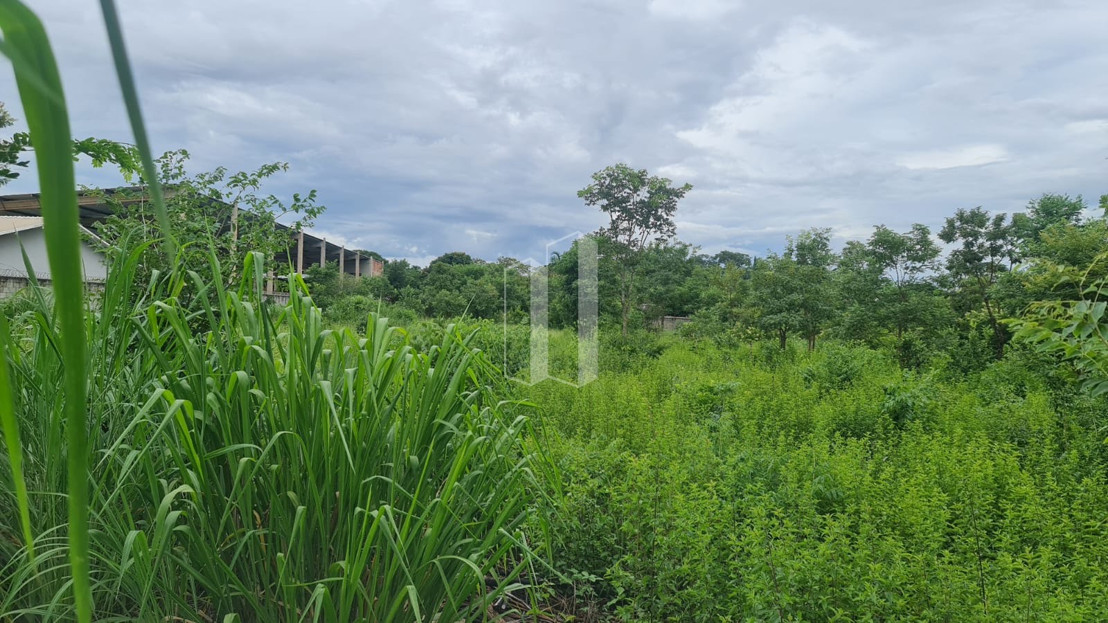 Terreno à venda com 5000m² de terreno no Village Casa Grande, Goiânia (GO) — foto 3 de 19