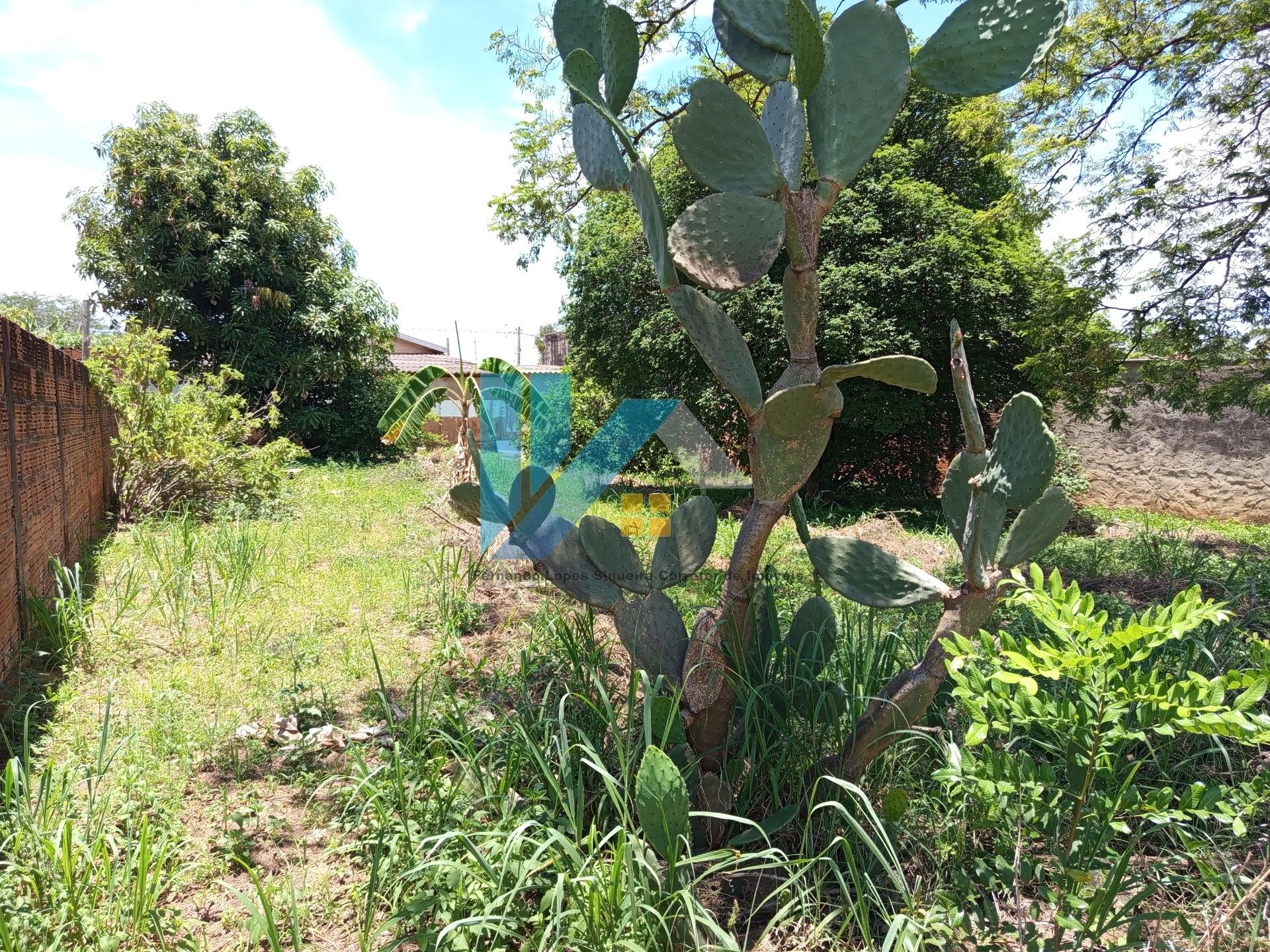 Terreno à venda no Nova Pirajuí, Pirajuí (SP) — foto 8 de 10