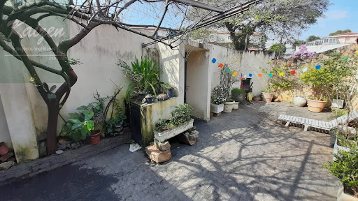 Foto 02