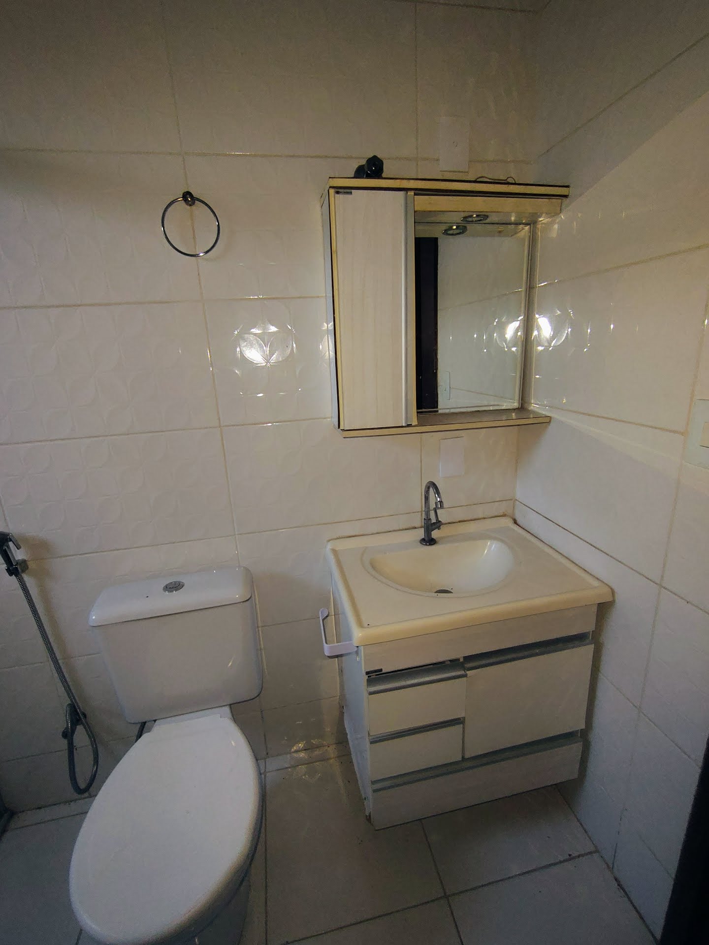 Casa, 4 quartos, 360 m² - Foto 18