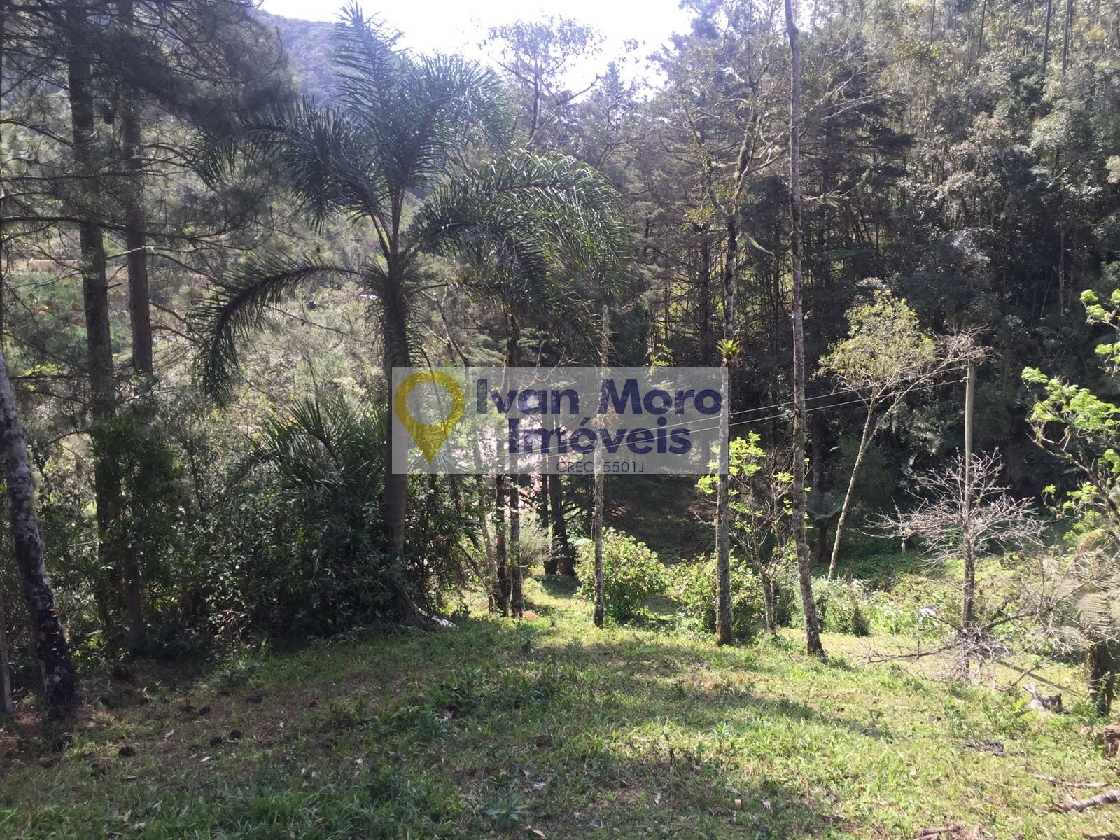 Rural à venda com 150000m² de terreno no Rio Braço do Norte, Anitápolis (SC) — foto 7 de 10