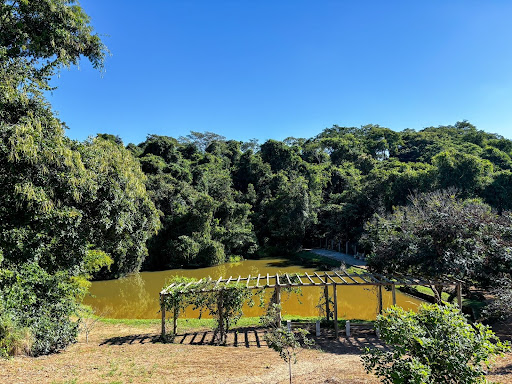 Lote / Terreno em Chácaras Santa Helena  -  Catalão