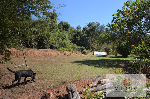 Fazenda em Santo Antônio Descoberto  -  Santo Antônio do Descoberto