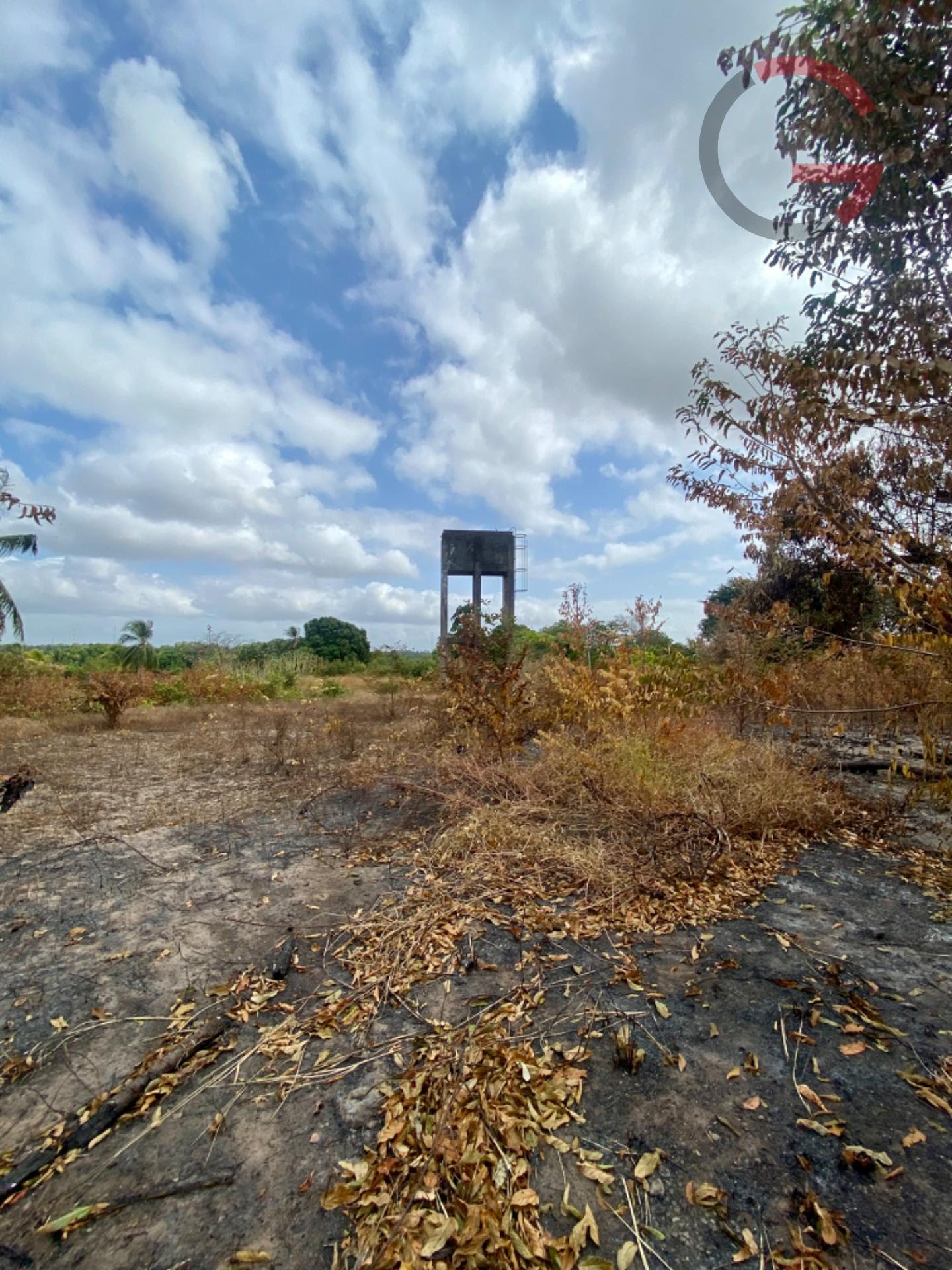 Terreno, 10000 m² - Foto 2