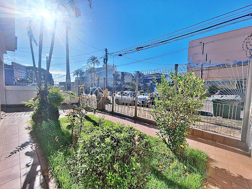 Casa, 3 quartos, 250 m² - Foto 9