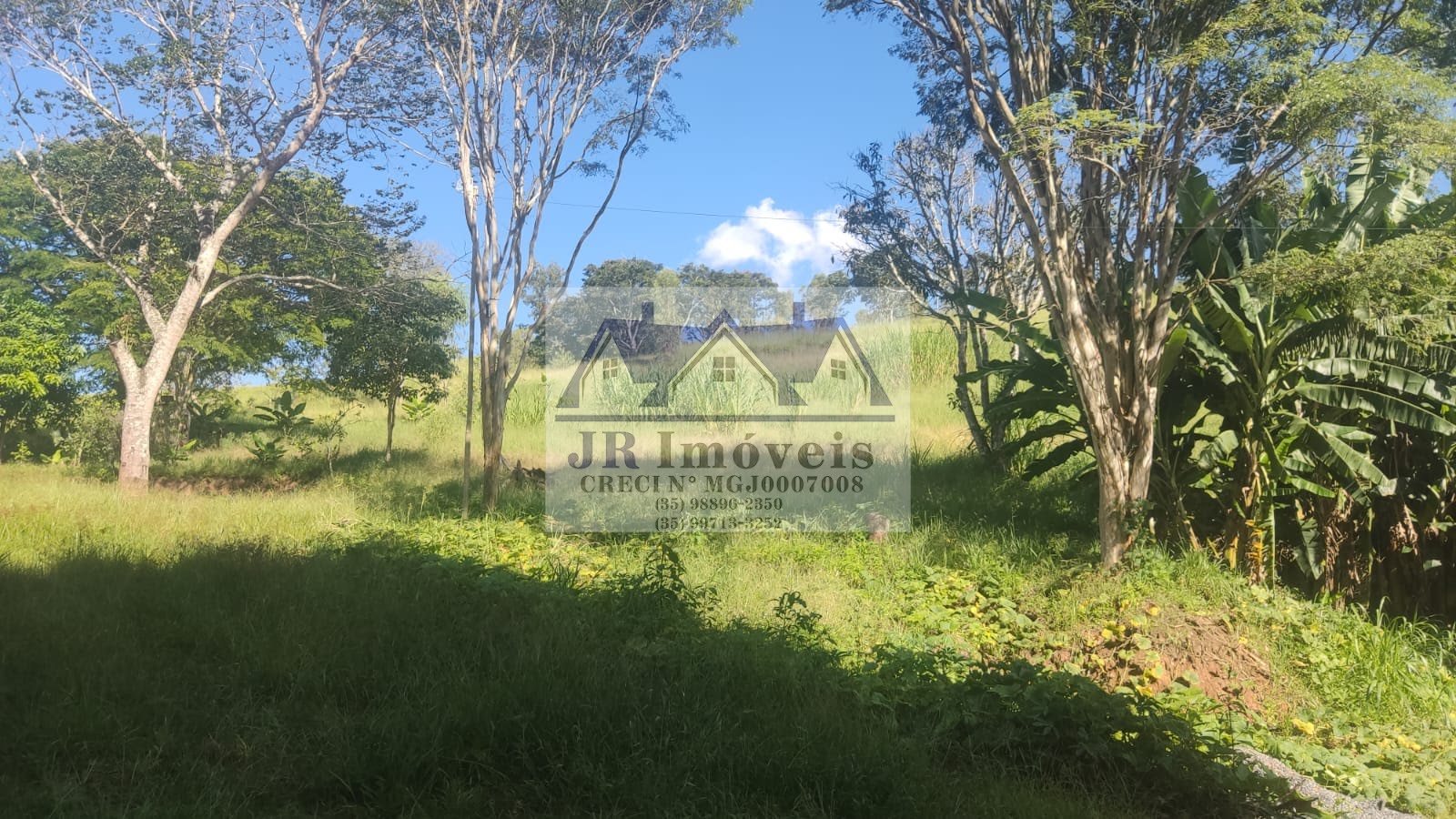 Casa à venda com 3 quartos, 1 banheiro, 1 vaga e 1000m² no Laje, Piranguinho (MG) — foto 2 de 17