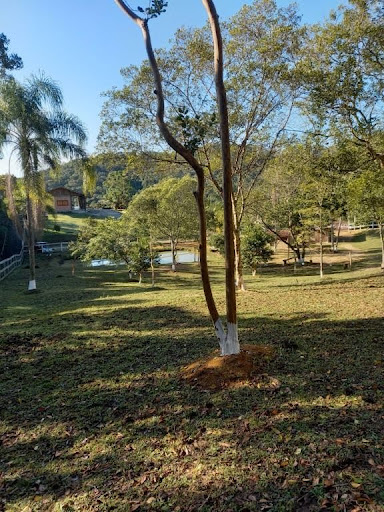 Sítio à venda, 3 m² por R$ 700.000 - São Sebastião - Palhoça/SC