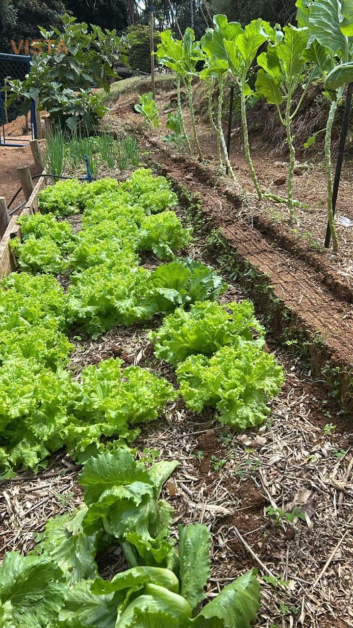Rural à venda com 121000m² de terreno no São Roque da Fartura, Águas da Prata (SP) — foto 25 de 30