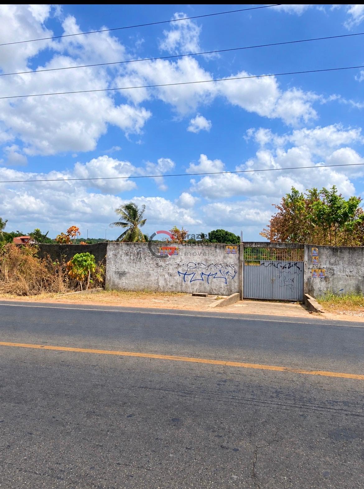 Terreno, 10000 m² - Foto 1
