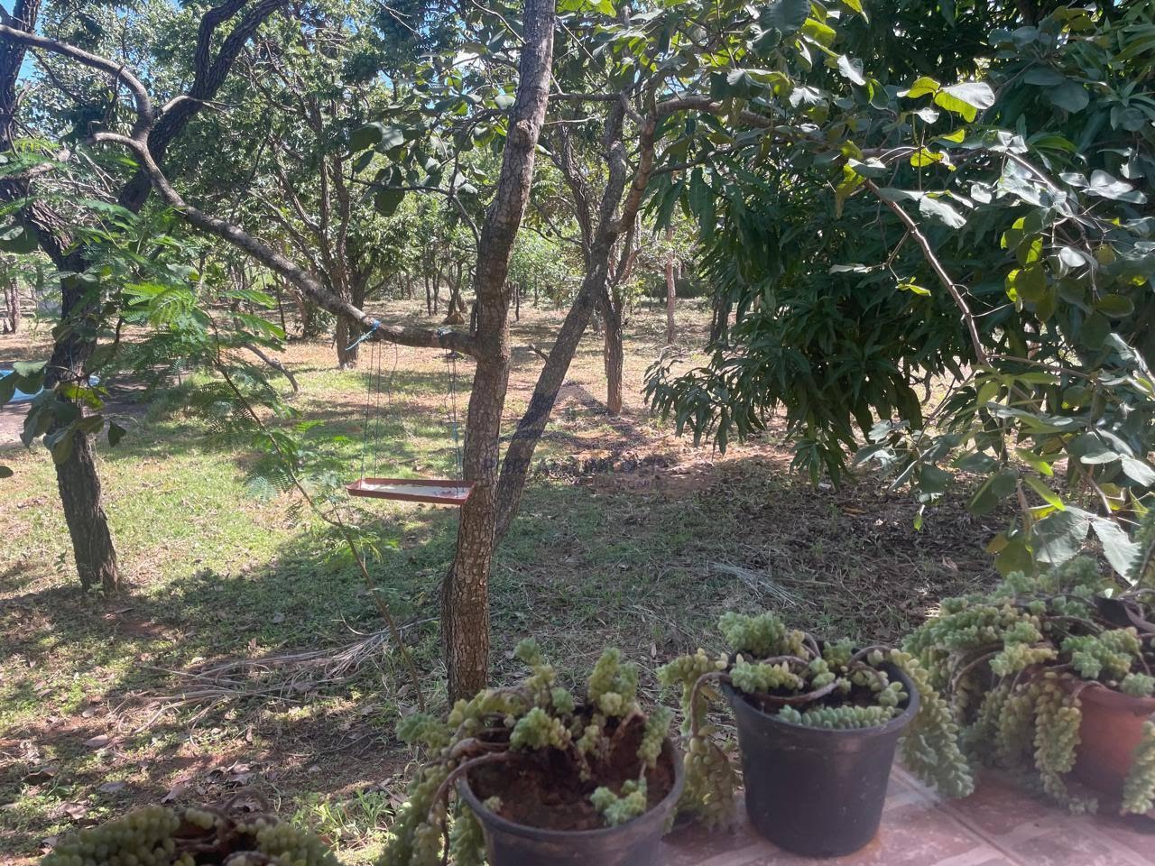 Rural à venda com 5300m² de terreno no Fazendinha Pai José, Araçaí (MG) — foto 12 de 14