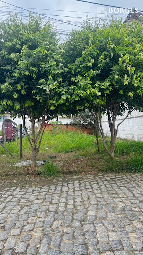 Lote / Terreno em Governador Roberto Silveira  -  Itaperuna